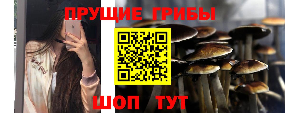 Галлюциногенные грибы ЛСД Донецк
